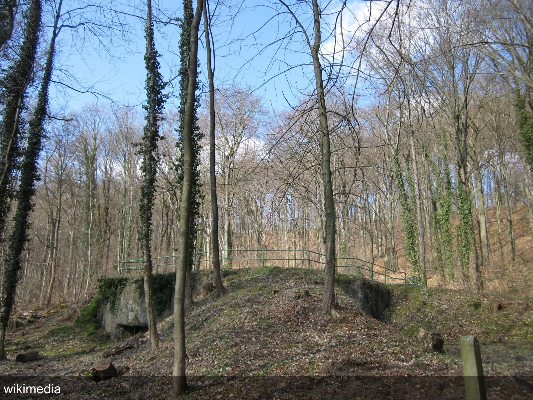 Audiotour Saarbrücken Highlights Tour Local in Saarbrücken