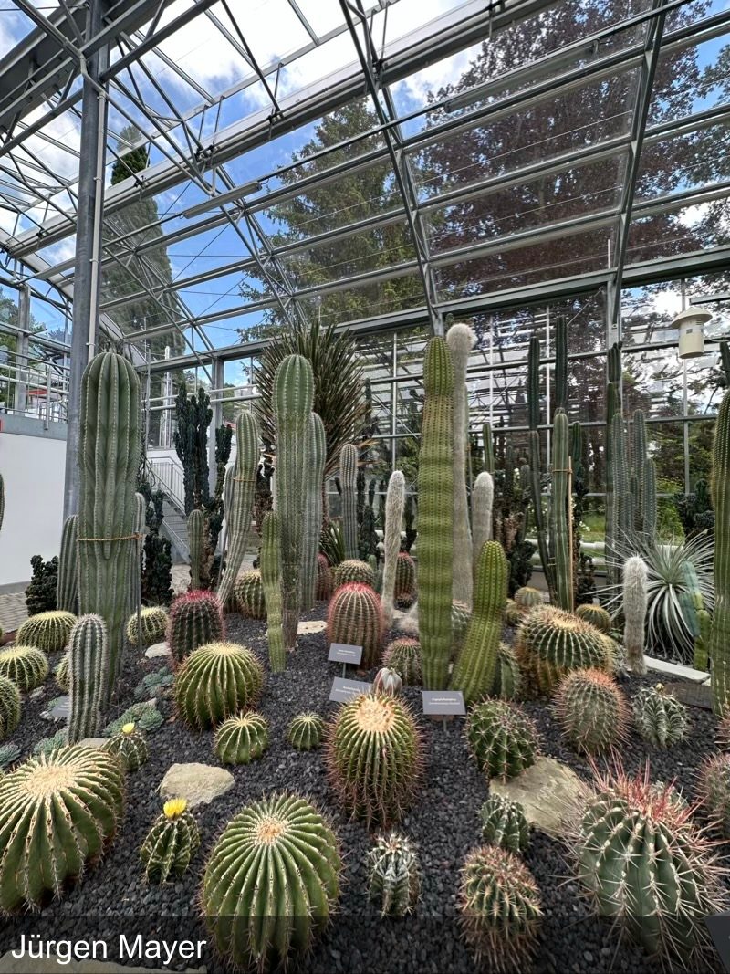 Audiotour Überlingen Highlights Tour Local in Überlingen