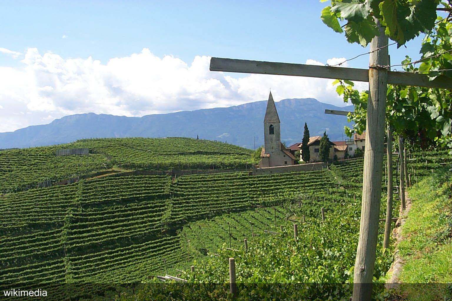 Bolzano - Bozen Höhepunkte Tour Regional